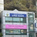 피오르네일 | 하단속눈썹펌 하단속눈썹연장 맛집 피오르네일