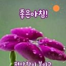 간추린 뉴스 이미지