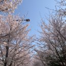 서운체육공원 (계양체육관) 이미지