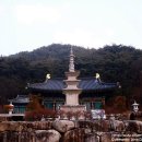 북장사 삼층석탑 | [상주] 북장사