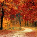 한라산PC 이미지