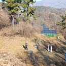 정남 태양광발전소 이미지