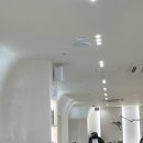 마크원컨설팅 | 내 머리에도 봄이 찾아왔어요! 기분 전환 성공 비결은 바로 여기!