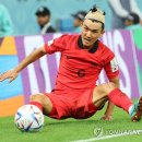 투혼 이미지