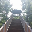 신동습지 이미지