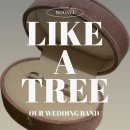 BACIO | [웨딩밴드] 누니주얼리 한남본점 계약 후기, Like a tree 선택한 이유