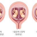 아훔 이미지