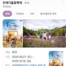 웰빙댄스 | 강원도 인제 가볼만한곳 인제가을꽃축제 방문 후기