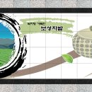 시안디자인 이미지