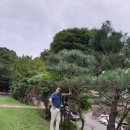 재우