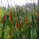 부평공원 이미지