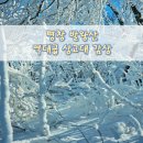평창밧데리 | 역대급 상고대 평창 발왕산 겨울 산행 | 황토빌펜션~엄홍길코스 하산 후기