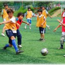 비호경희대태권도 이미지