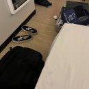 다빈치오락실 이미지