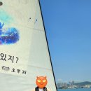 블라우(Blau) 이미지