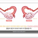 연제한의원 이미지