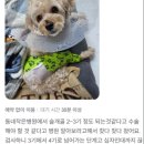 평촌동물병원 이미지