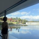 풍죽 | [대구간송미술관] '삼청 도도' 기획전시, 상설전시 방문 후기