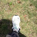 유어초등학교 병설유치원 이미지