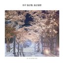 대구 침산공원 벚꽃계단 도심 속 숨은 스팟 밤산책