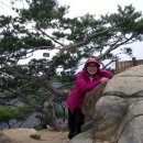 명품 1호 이미지