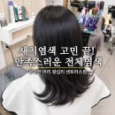 도봉산입구상가연합회 | 💇 왕십리 미용실 우아한머리 왕십리 센트라스점에서 전체염색하고 온 후기