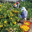 국제전자도매센타 이미지