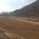 더 푸른마트 이미지