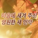 언약 이미지