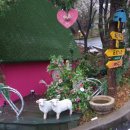 남이섬리조트4 이미지