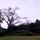 이순신공원 이미지