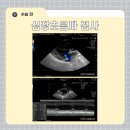 조양래동물병원 이미지