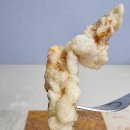 후룡 | 고양시 행신맛집 중국집 후룡 짜장면과 탕수육세트 배달