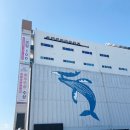 울산 남구 장생포 아이랑 가기좋은 문화창고 아트랩 체험후기