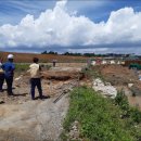 평택-안중-안중-07 이미지