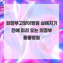 오즈동물병원 | 의정부고양이병원 심해지기 전에 미리 오는 의정부동물병원