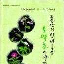 약초이야기 이미지