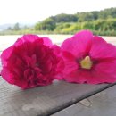 옥대3리 이미지