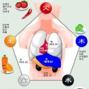 ♧몸에 좋은 색깔음식(가치가 있는 고급 자료네요.) 이미지