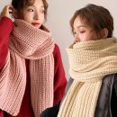 보송보송 이미지