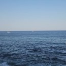 부동산 상식과 생활 법규 이미지