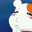 칼라피플 이미지