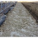 운모농장 이미지