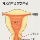 경부