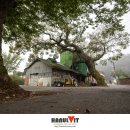 양곡정미소 이미지