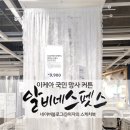펫스 | 이케아 국민망사커튼 알비네스펫스 구매후기