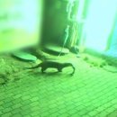 철성농장 이미지