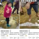 절임식품 이미지