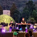 그린카펫 이미지