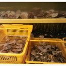 조개까는 세상 이미지